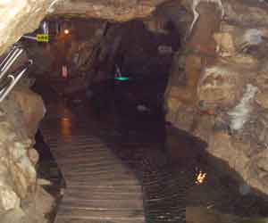 �������ӂ�Ă���ʘH