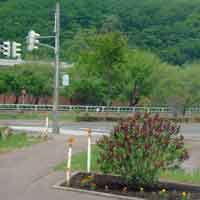 ���C���b�N