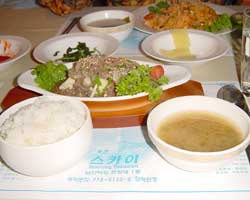 �v���R�M��H