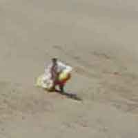 �p���O���C�_�[��w������