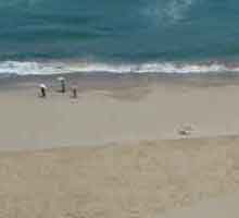 �g�ł��ۂ��y����