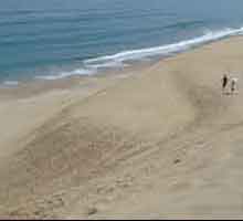 �n�̔w���C�������낷