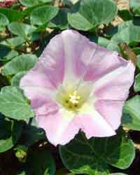 �n�}�q���K�I