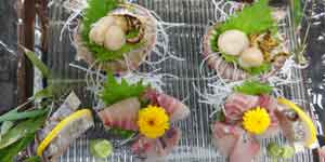 ������@�ԁE�������E���E�o�^�L