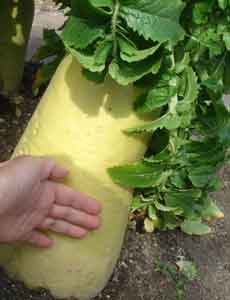 ����͍����卪�ł͂���܂���A���A�f�b�J�`��I�I