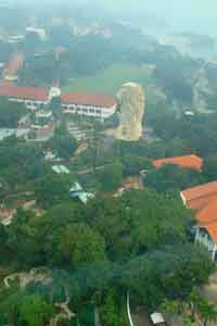 �}�[���C�I���^���[