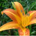 �R�I�j����