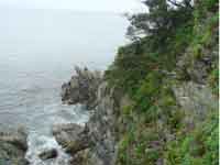 ����񂲕l�ւ̓r��