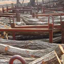 �������ꂽ����