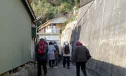 ���u���̐��Â��U��