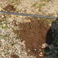 �o�[�N�͔�