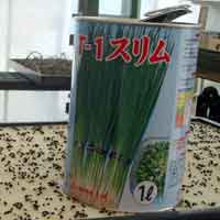 �ʓ���˂��̎�