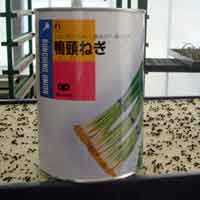 �ʓ���˂��̎�