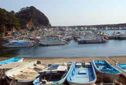 �Ђ��߂����D