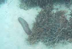 ����i�}�R