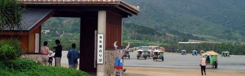 �R�z�������ԏ���