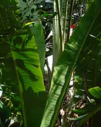 �I�I�M�o�V���E