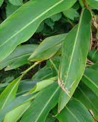 �I�I�x�j�S�E�J��