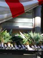 �_���Ɏg����F��